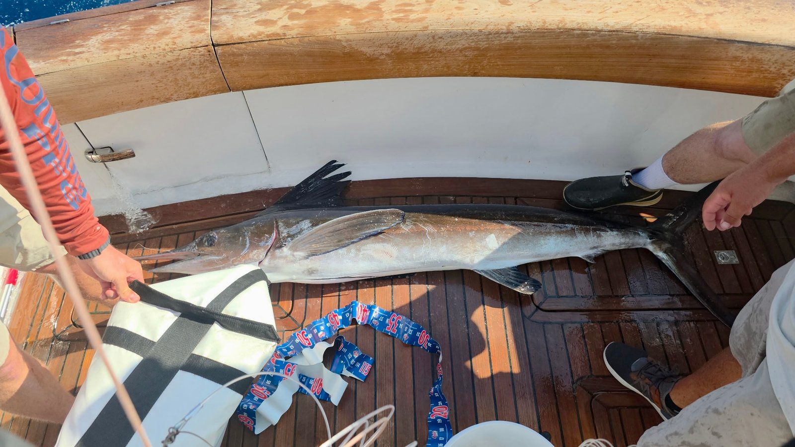 Captain Dale Plummer with Wednesday's 78lb White on the floor of his boat ReelVille. heading to the scales