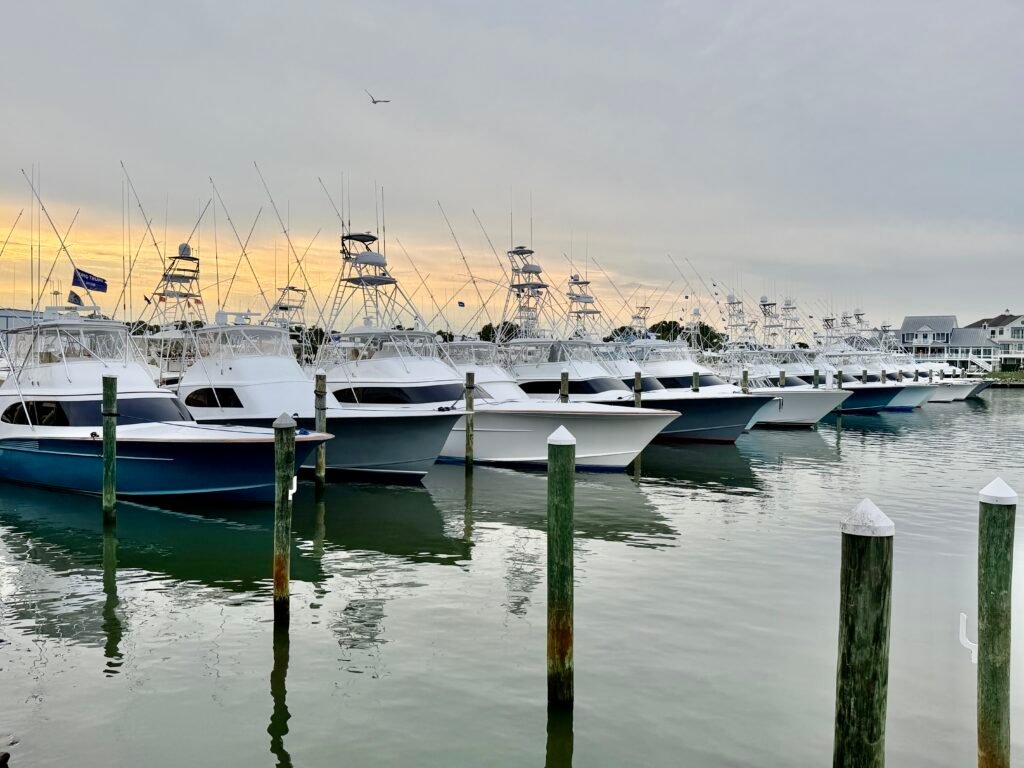 Sunset Marina, Fleet ready to fish WMO 2026